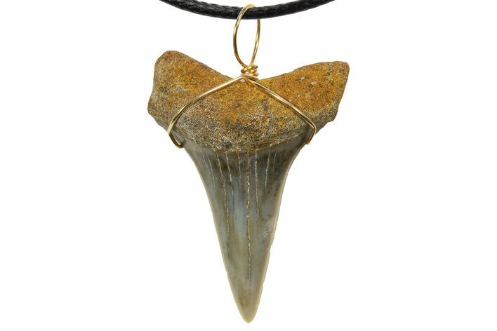Fossil Mako Shark Tooth Necklace - Bakersfield, California #318849